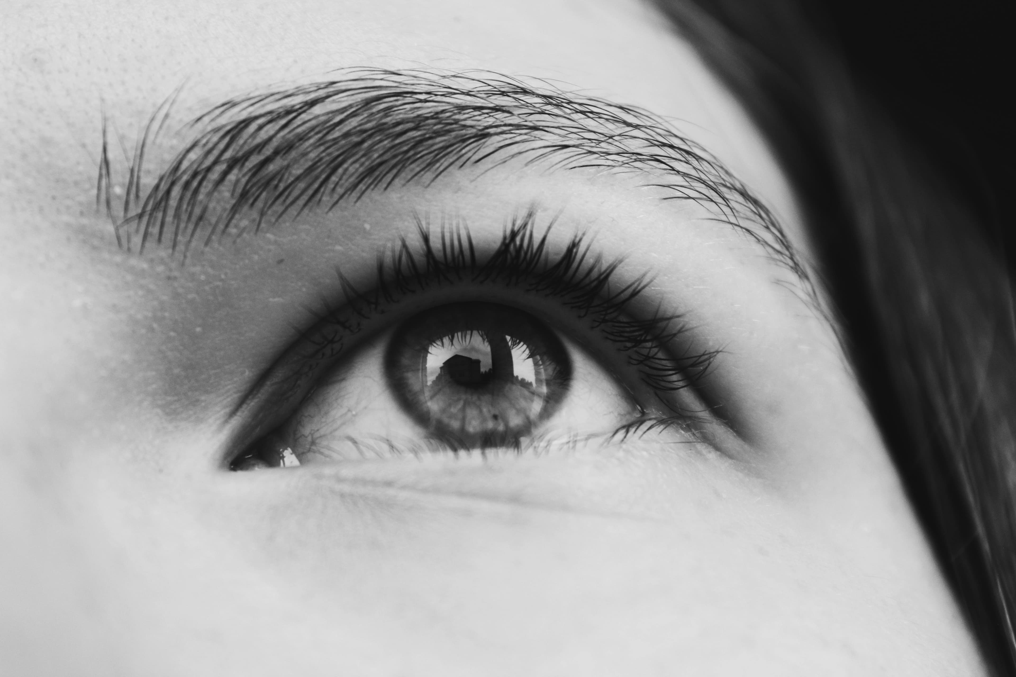 Brow and lash booking system - Eyebrow shaping, tinting, and lash extensions